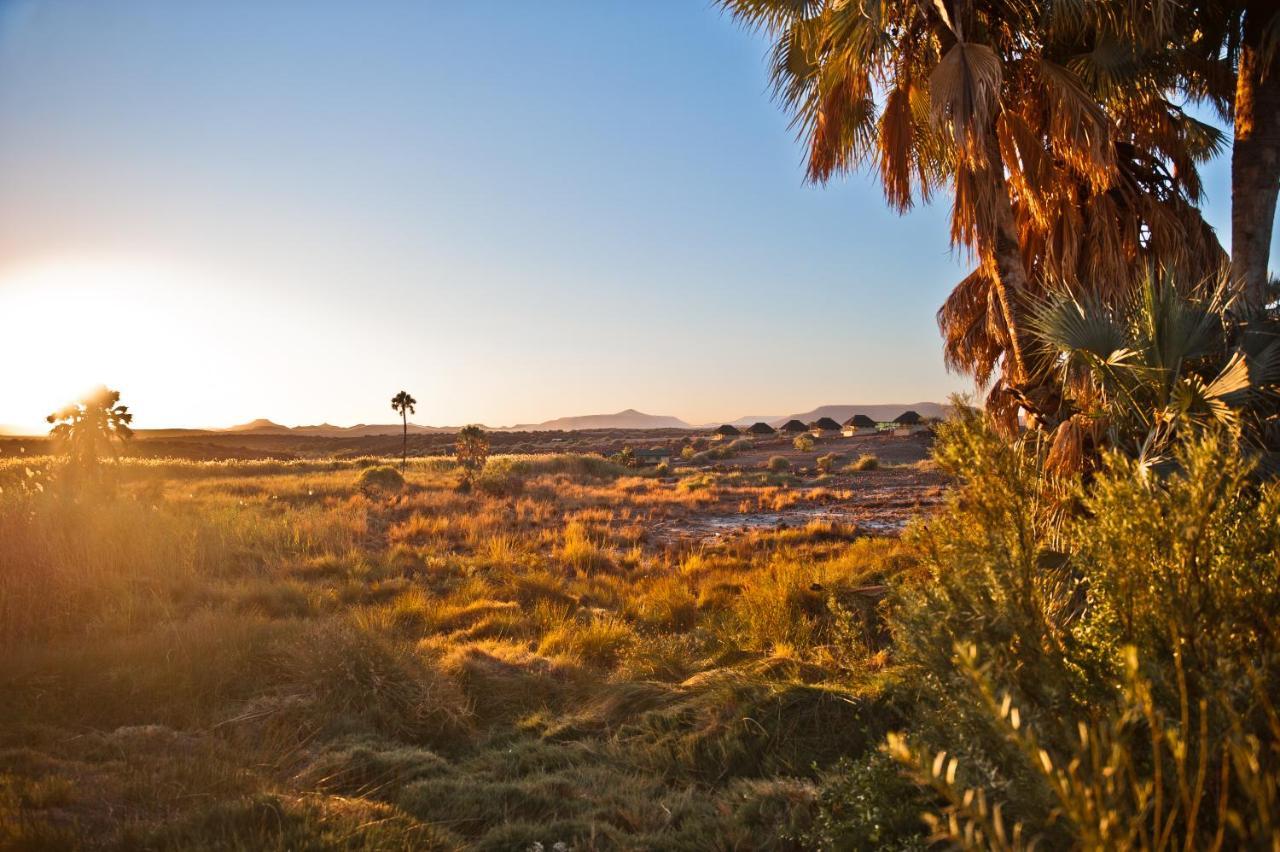Palmwag Campsite מראה חיצוני תמונה