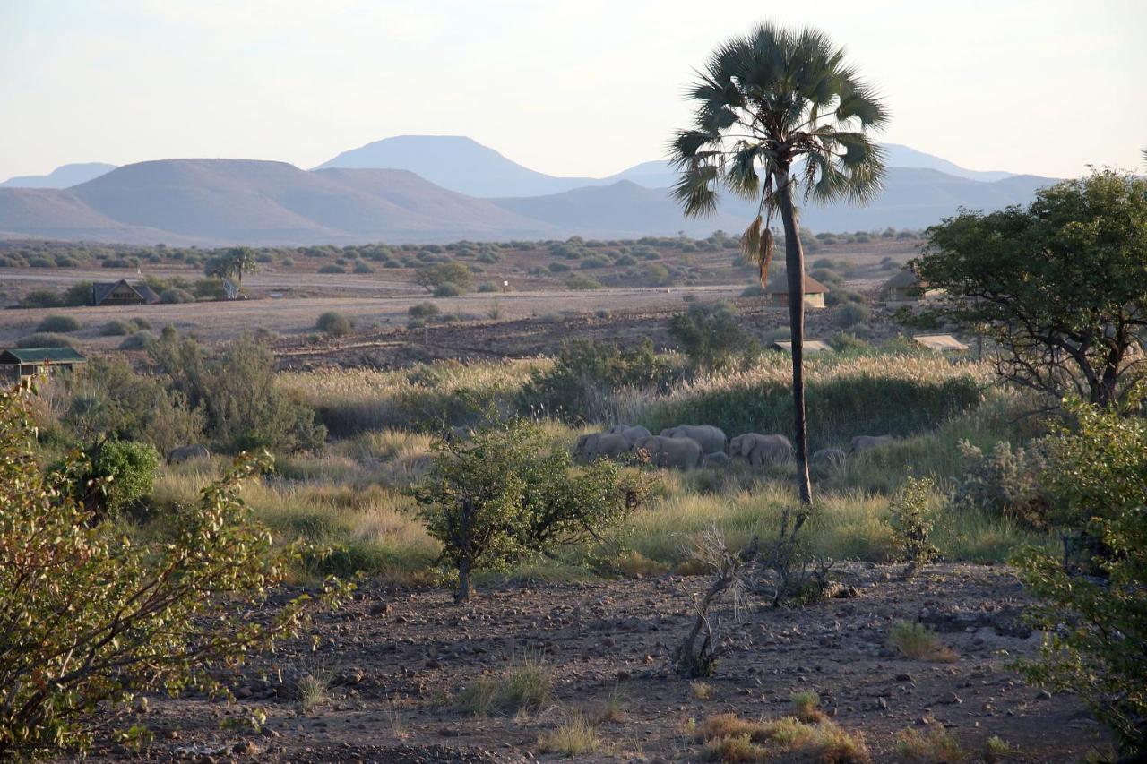 Palmwag Campsite מראה חיצוני תמונה
